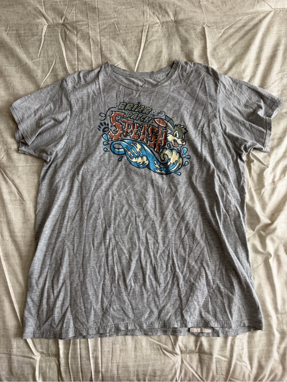 Disneyland Grey "Briar Patch Splash" Graphic T-Shirt (XL)